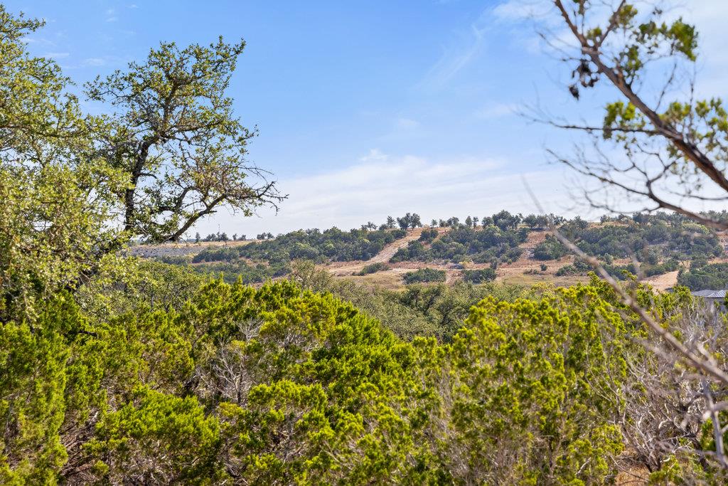 2058 Legacy Hills Dr, Johnson City, TX 78636