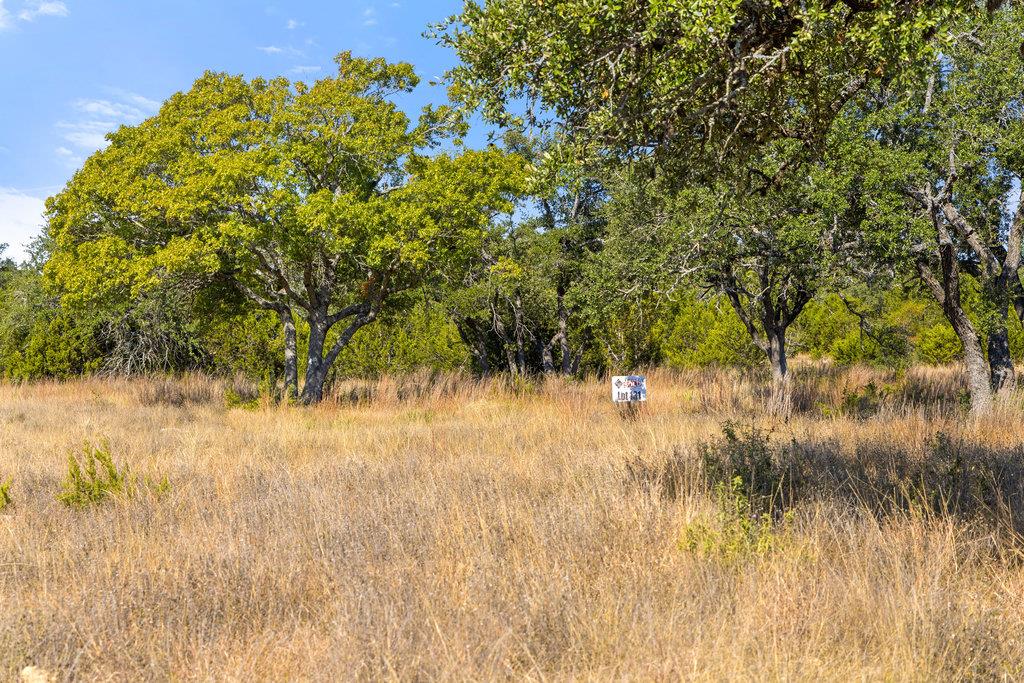 2058 Legacy Hills Dr, Johnson City, TX 78636