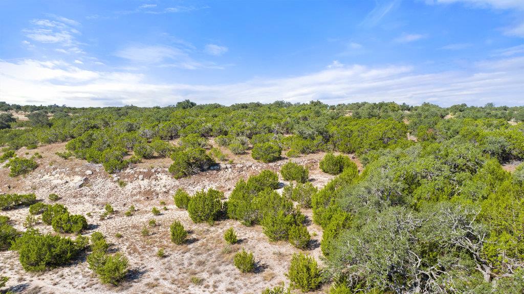 2058 Legacy Hills Dr, Johnson City, TX 78636