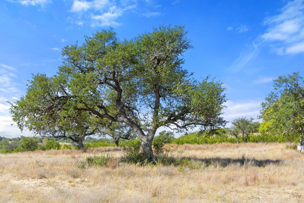 2058 Legacy Hills Dr, Johnson City, TX 78636