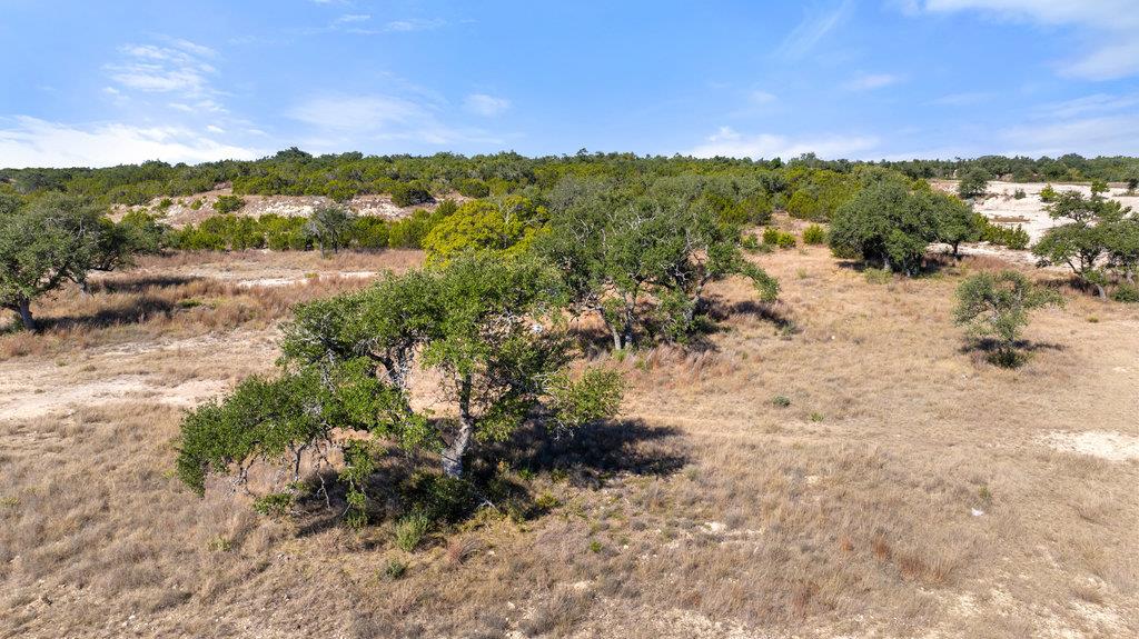 2058 Legacy Hills Dr, Johnson City, TX 78636