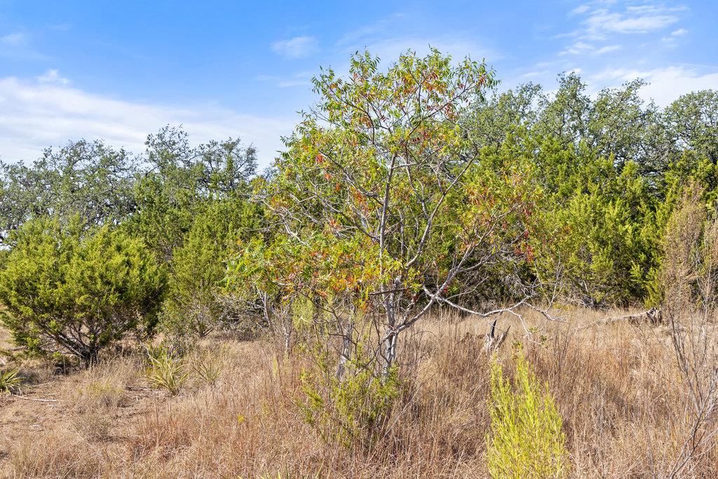 2058 Legacy Hills Dr, Johnson City, TX 78636