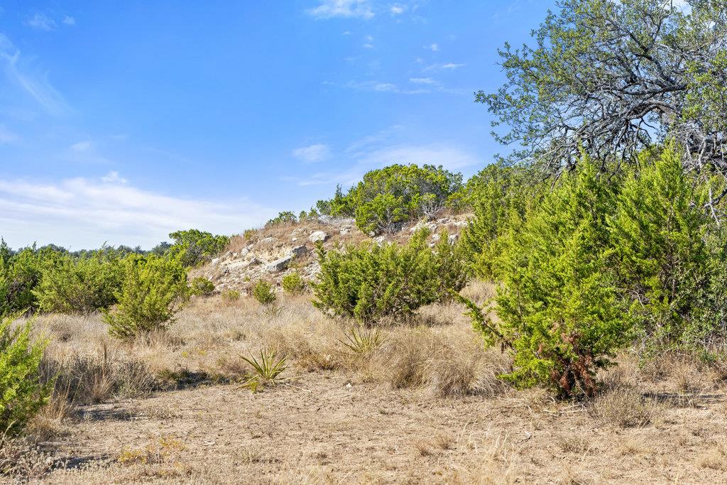 2058 Legacy Hills Dr, Johnson City, TX 78636