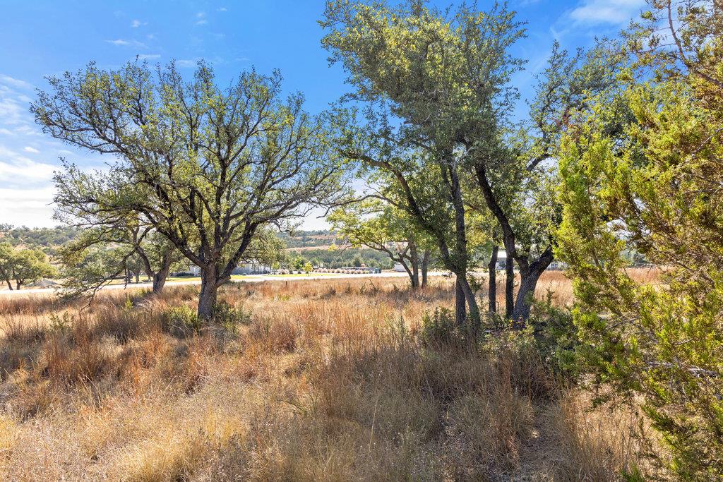 2058 Legacy Hills Dr, Johnson City, TX 78636