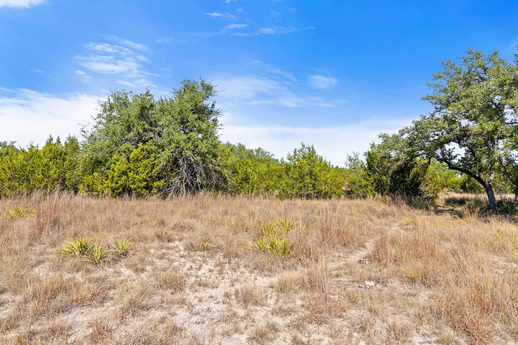 2058 Legacy Hills Dr, Johnson City, TX 78636