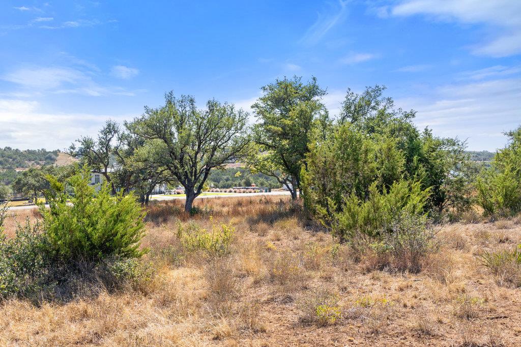 2058 Legacy Hills Dr, Johnson City, TX 78636