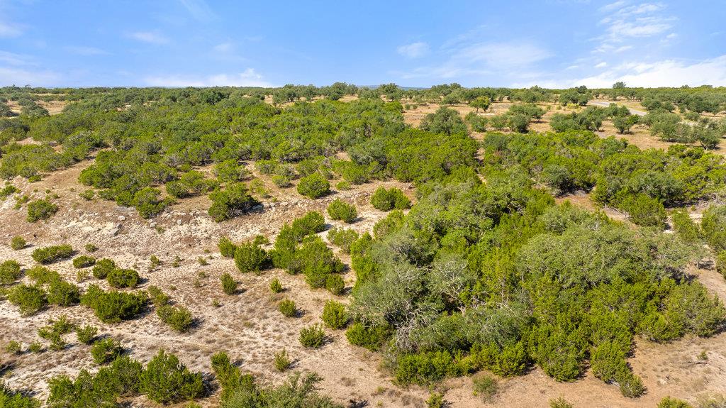 2058 Legacy Hills Dr, Johnson City, TX 78636