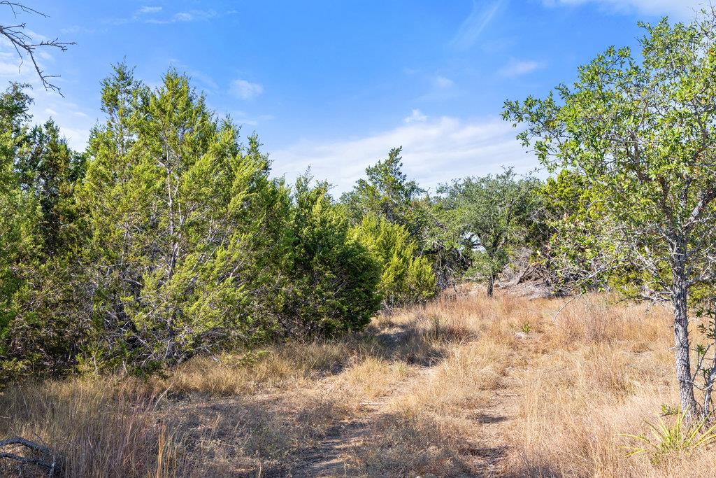 2058 Legacy Hills Dr, Johnson City, TX 78636