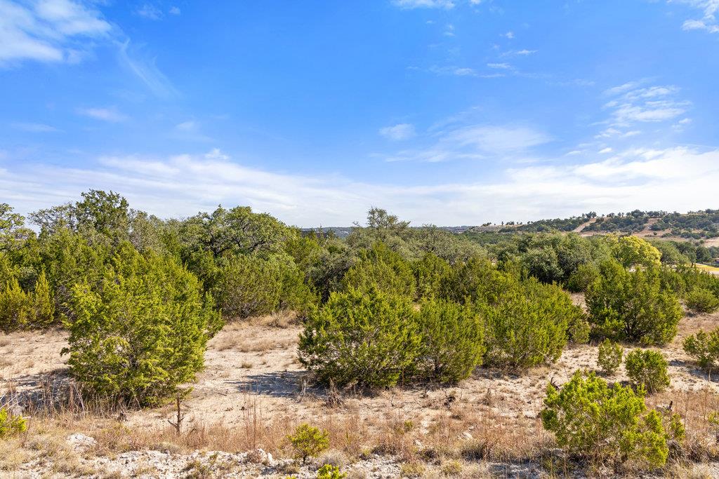 2058 Legacy Hills Dr, Johnson City, TX 78636