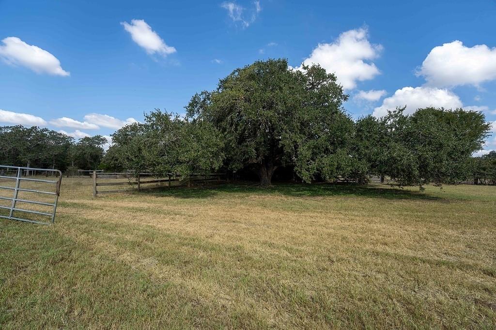 10411 Farm to Market Road 1383 Rd, La Grange, TX 78945