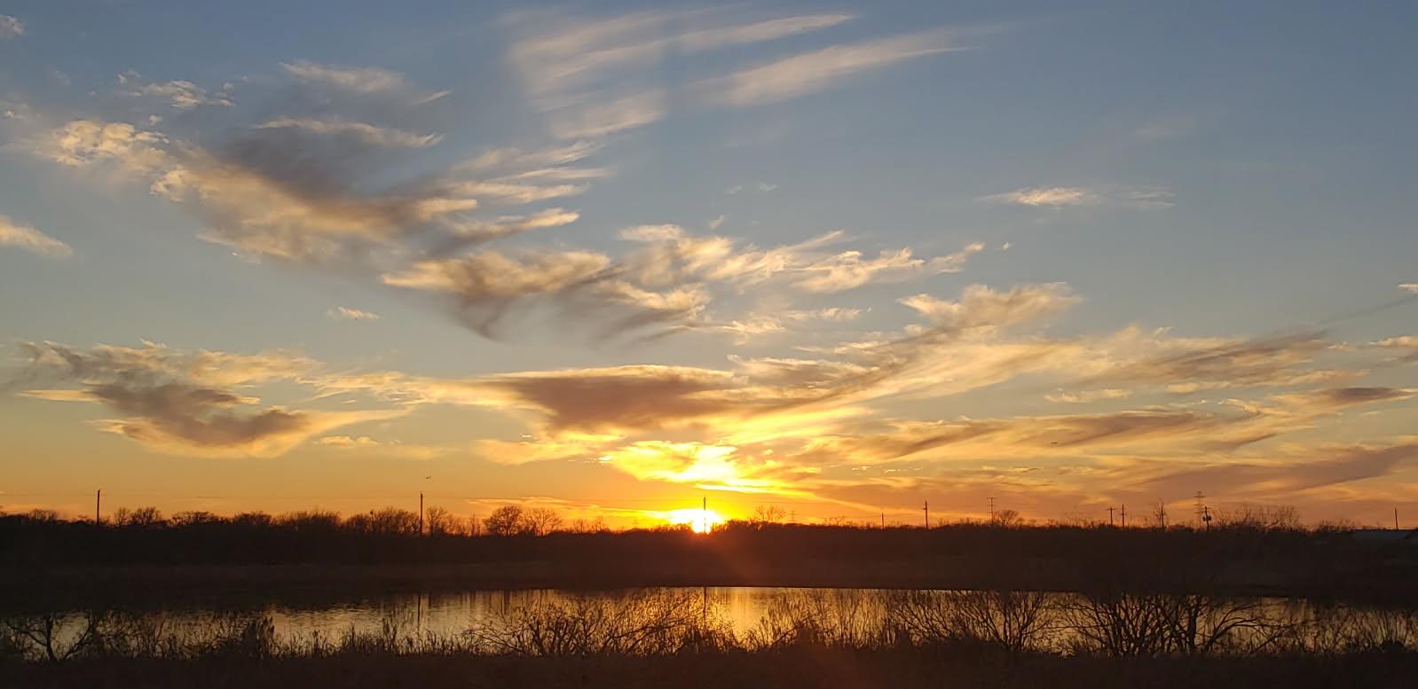 13517 Brahmin Dr, Austin, TX 78724