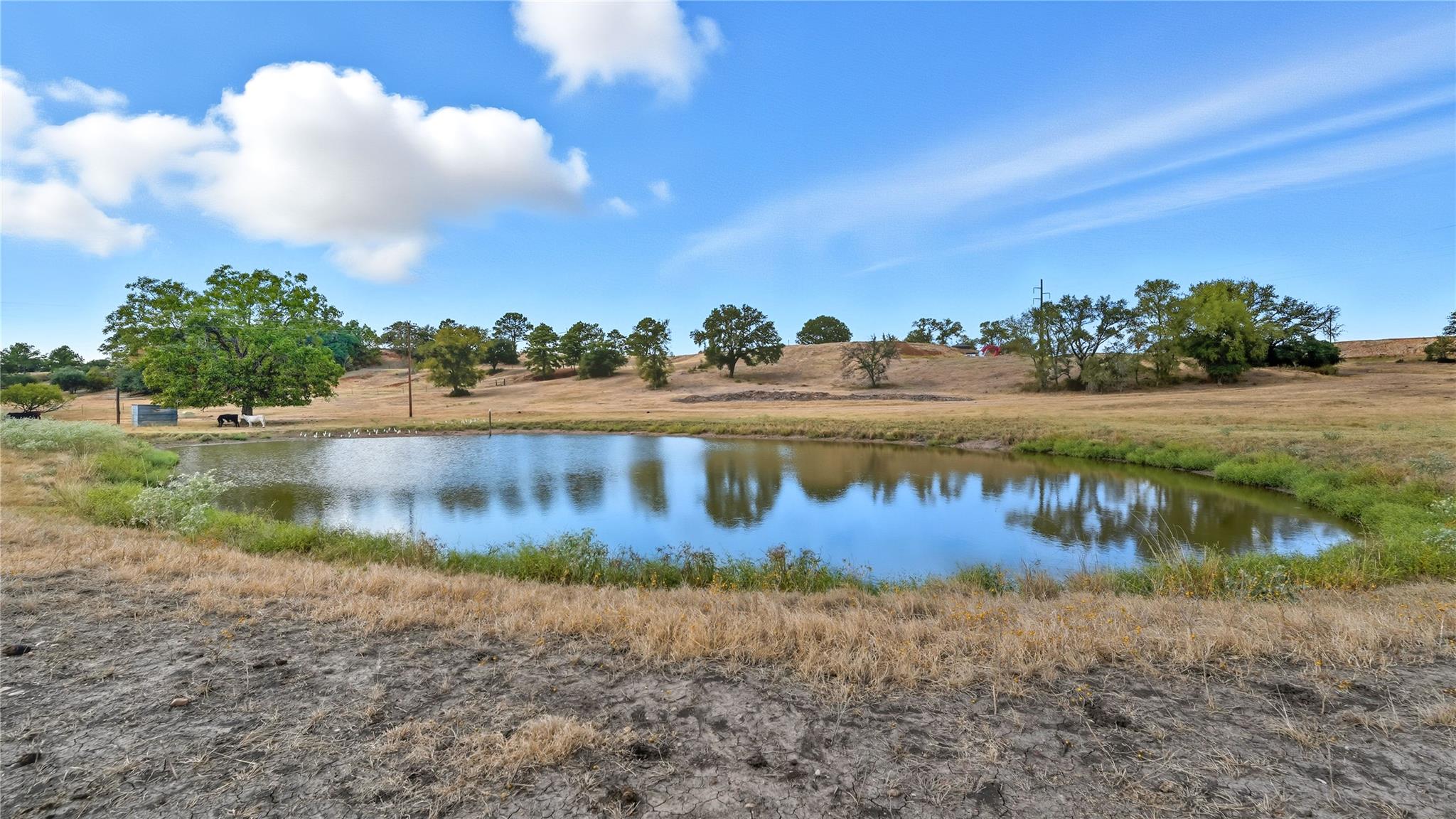 TBD 71 Highway, Bastrop, TX 78057