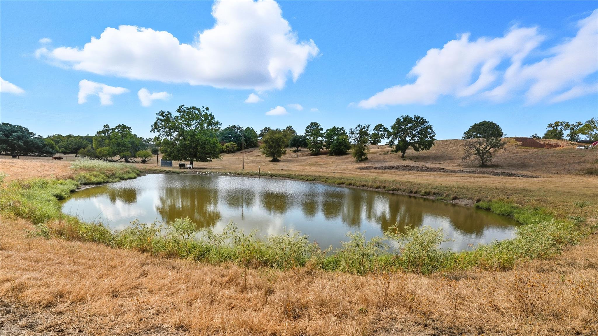 TBD 71 Highway, Bastrop, TX 78057