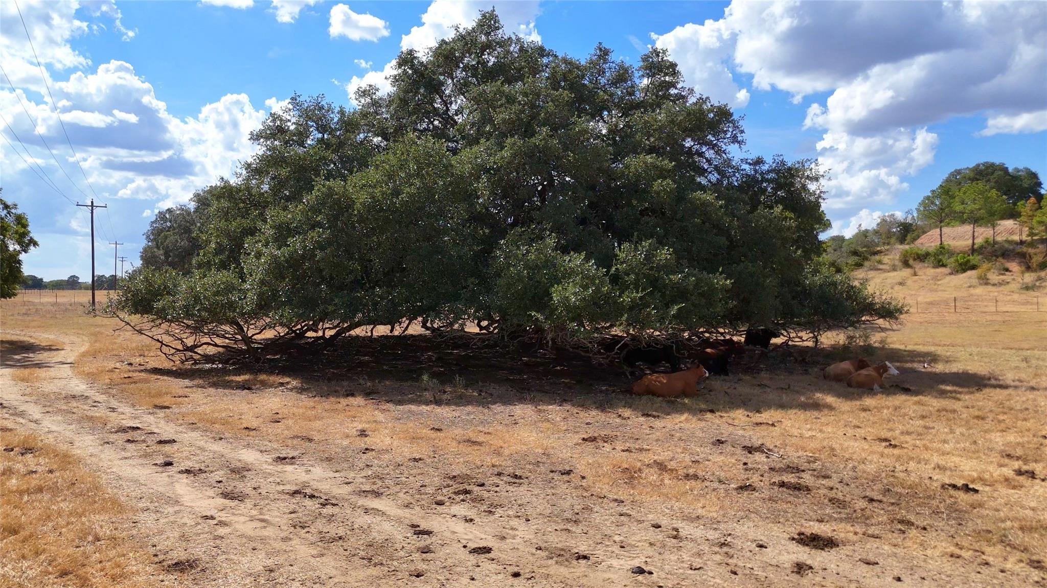 TBD 71 Highway, Bastrop, TX 78057