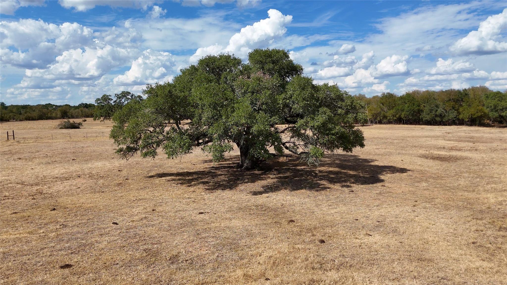 TBD 71 Highway, Bastrop, TX 78057