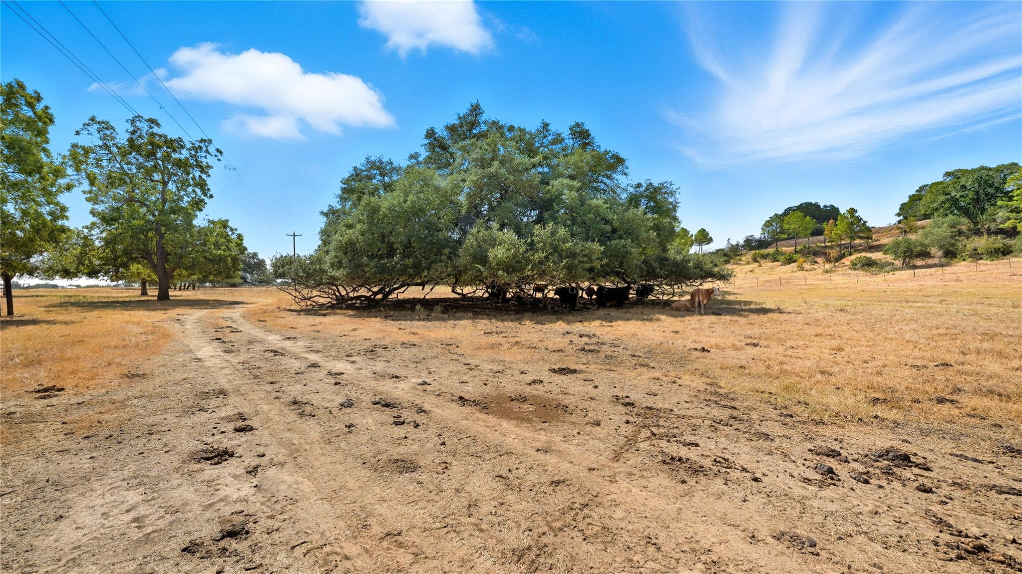 TBD 71 Highway, Bastrop, TX 78057