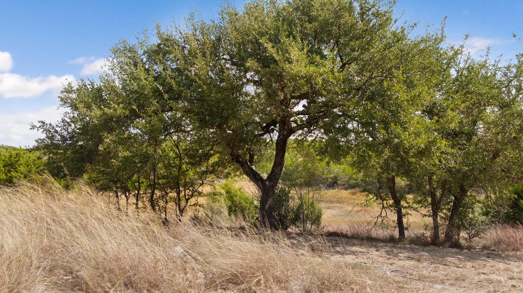 300 Cedar Mountain Dr, Marble Falls, TX 78654