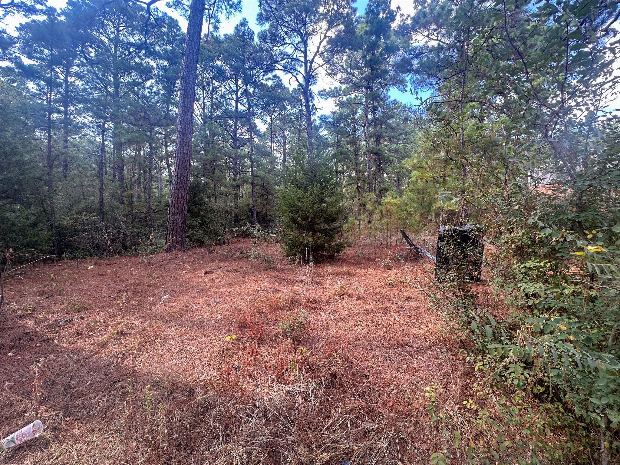 Lot 84 Hill Ridge Dr, Bastrop, TX 78602
