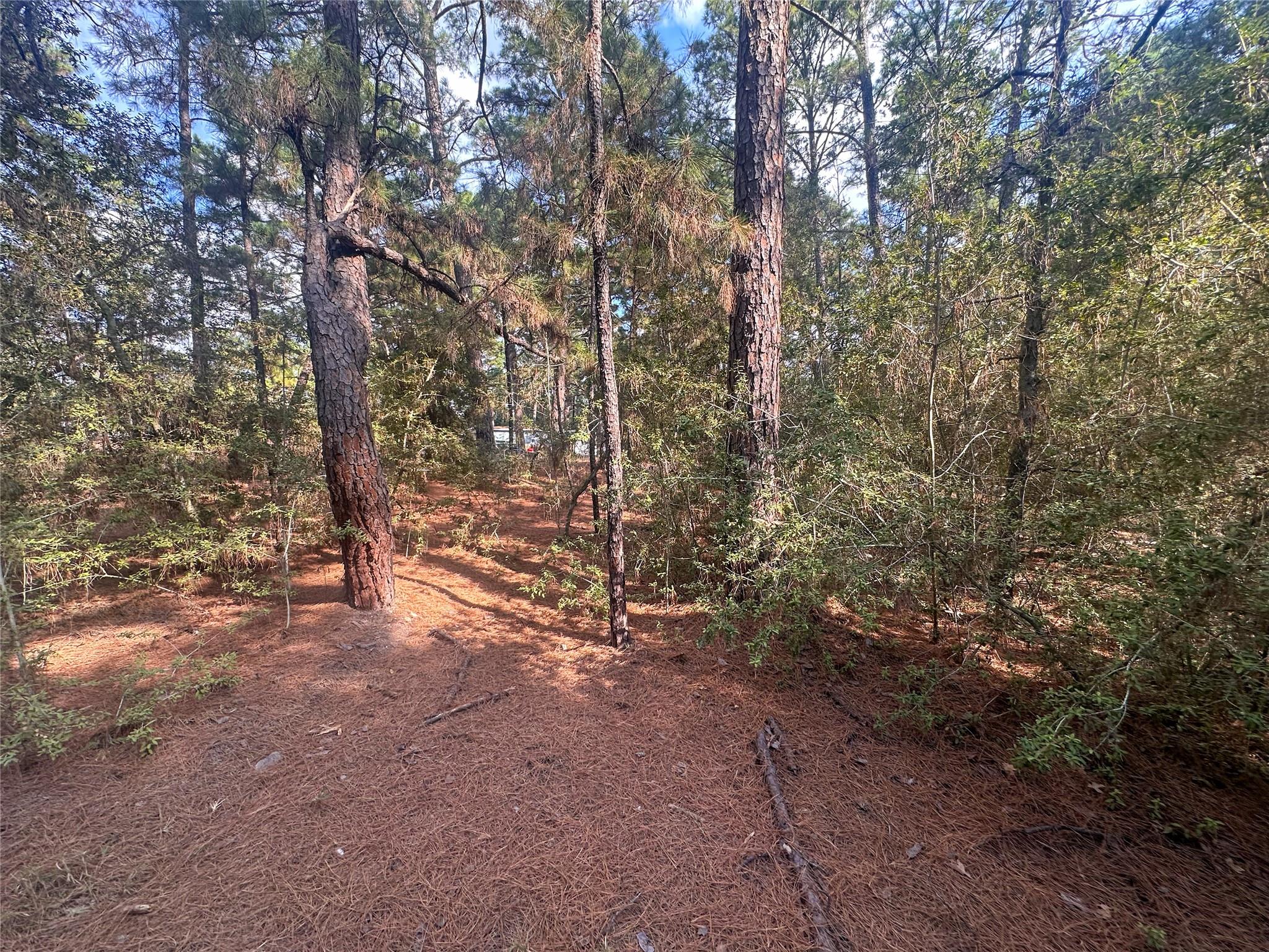 Lot 84 Hill Ridge Dr, Bastrop, TX 78602
