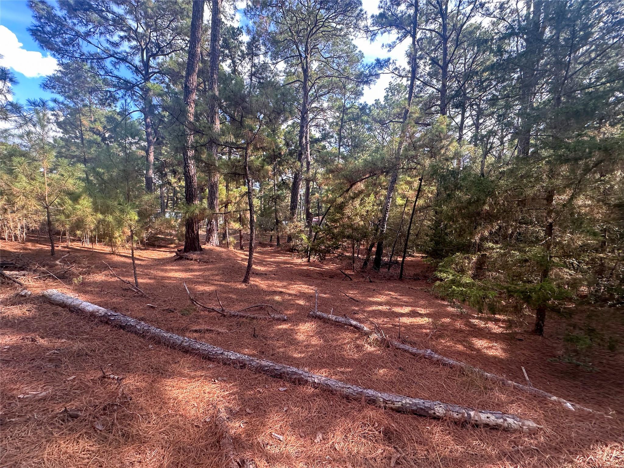 Lot 85 Hill Ridge Dr, Bastrop, TX 78602