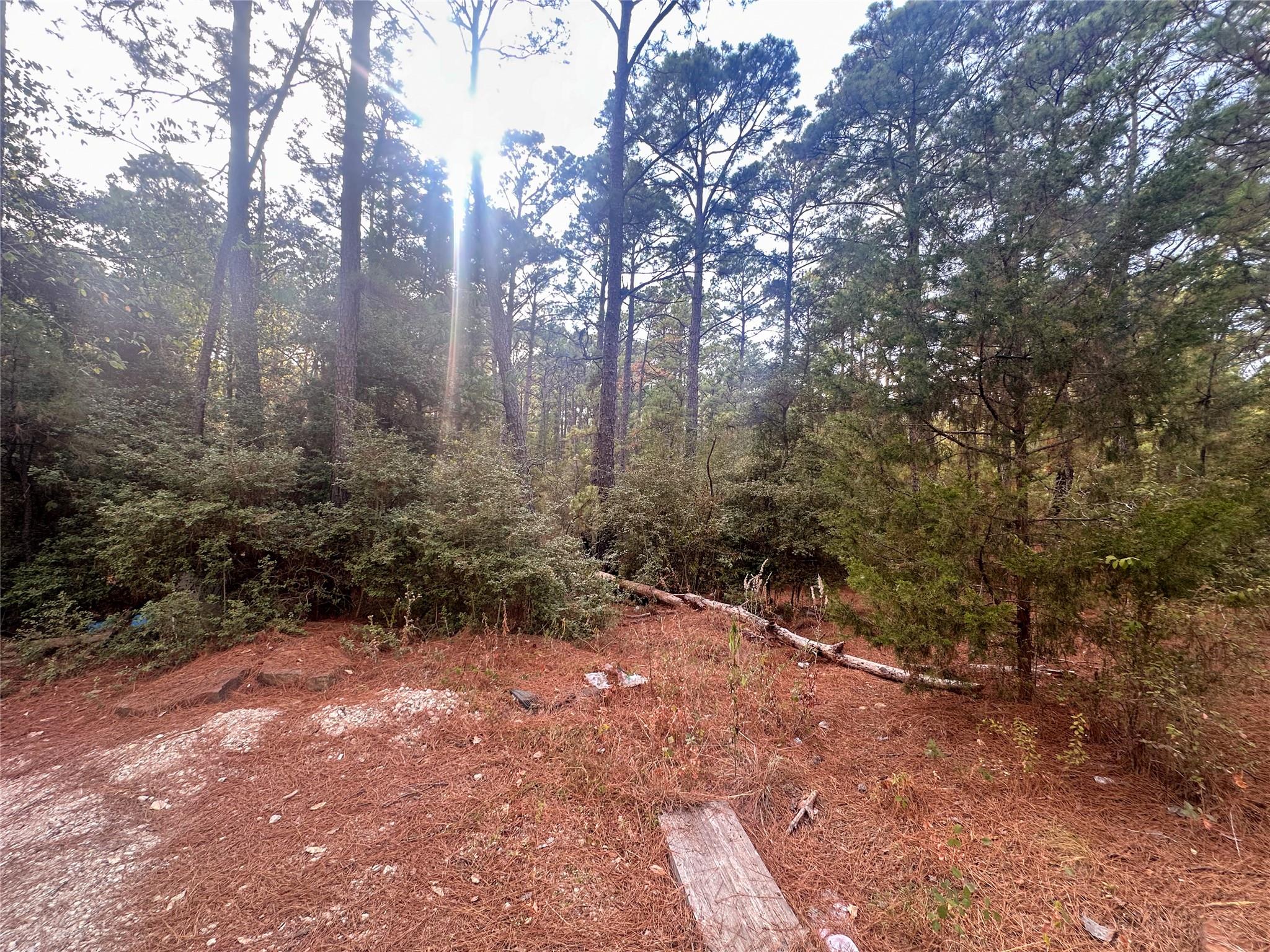 Lot 85 Hill Ridge Dr, Bastrop, TX 78602