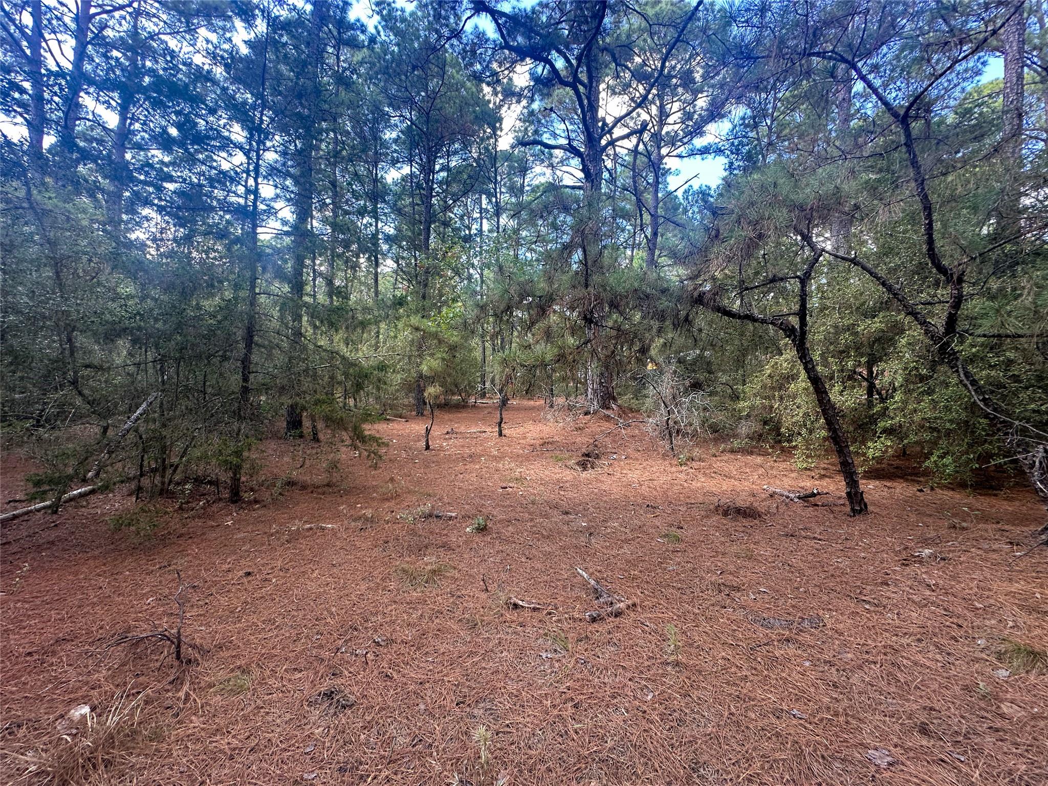 Lot 85 Hill Ridge Dr, Bastrop, TX 78602