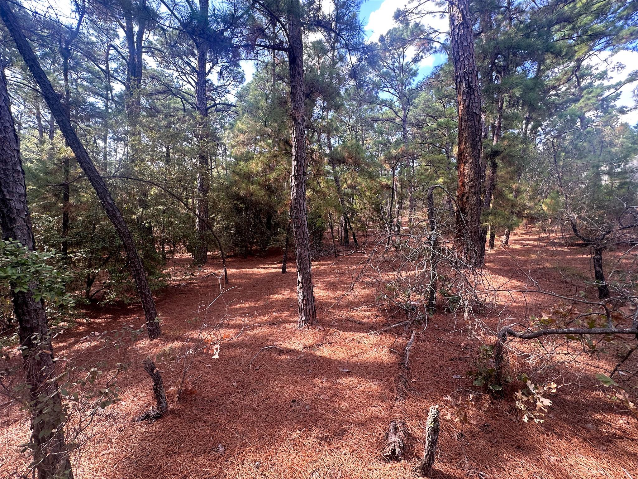 TBD S Hill Ridge Dr, Bastrop, TX 78602