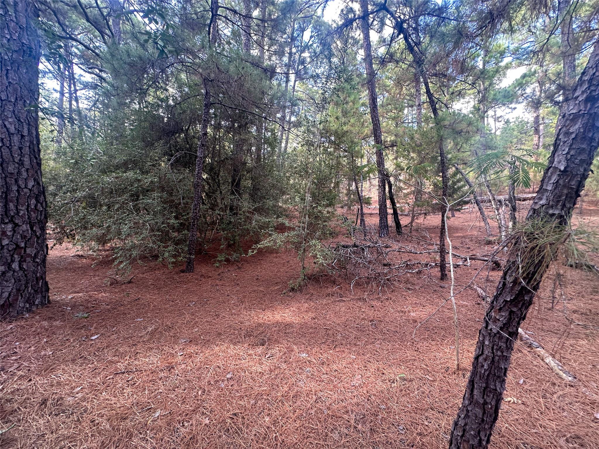 TBD S Hill Ridge Dr, Bastrop, TX 78602