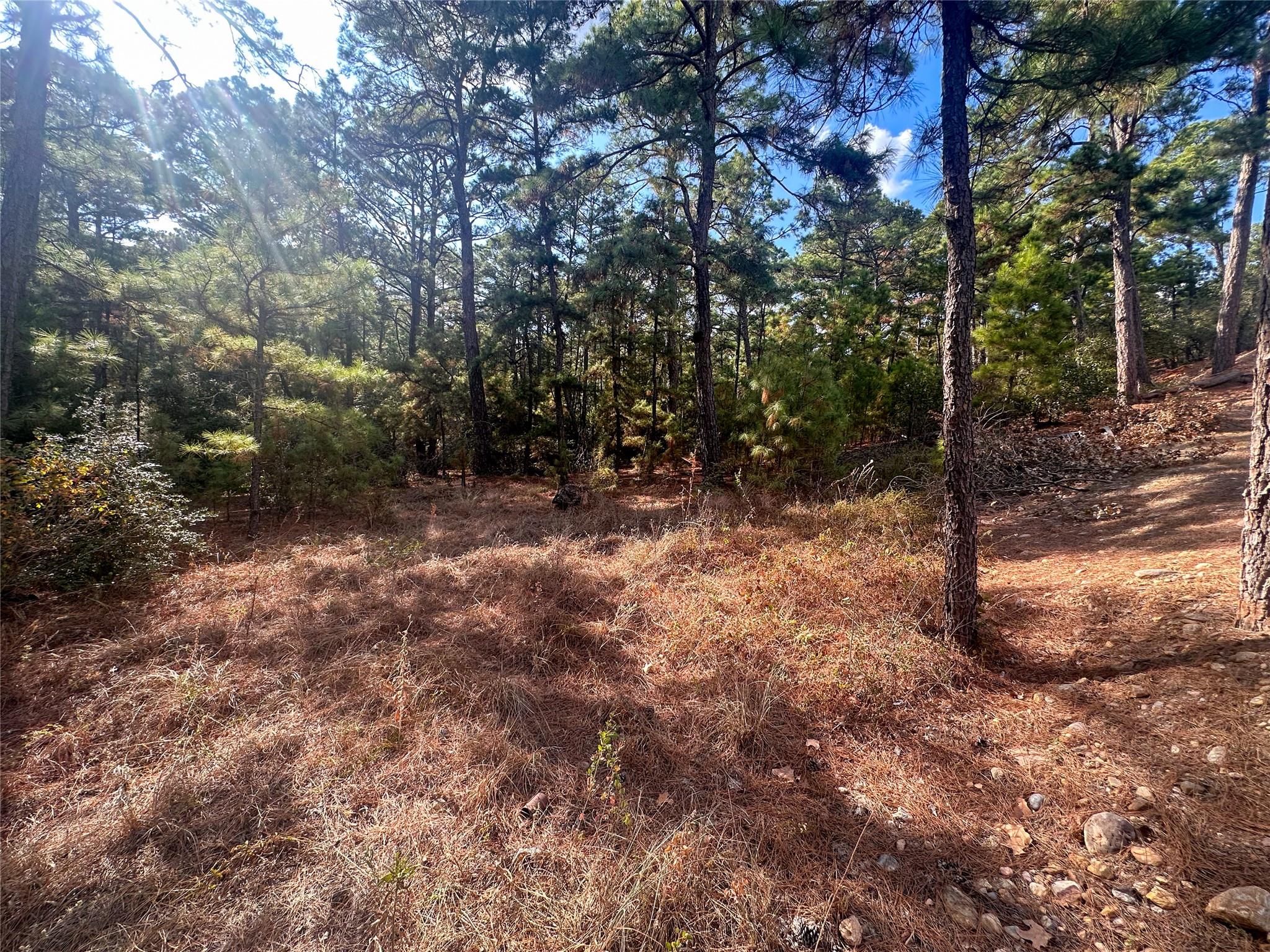 TBD S Hill Ridge Dr, Bastrop, TX 78602