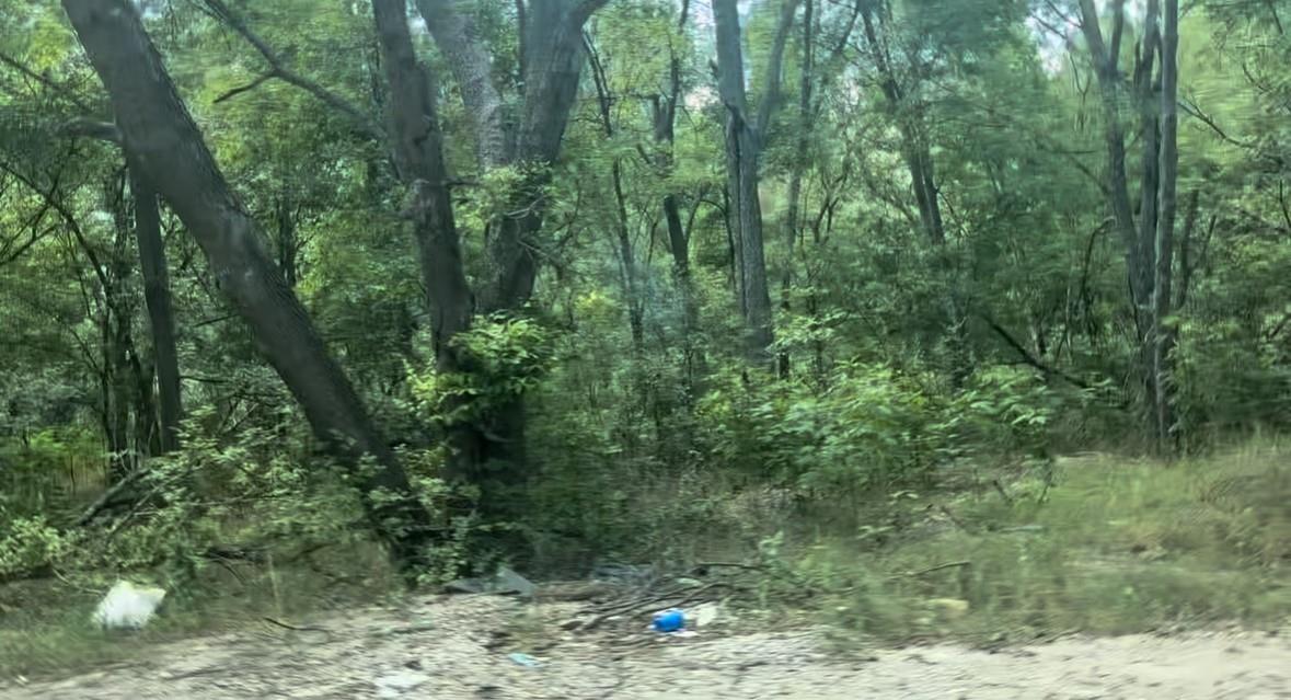 4205 Imperial Dr, Austin, TX 78725