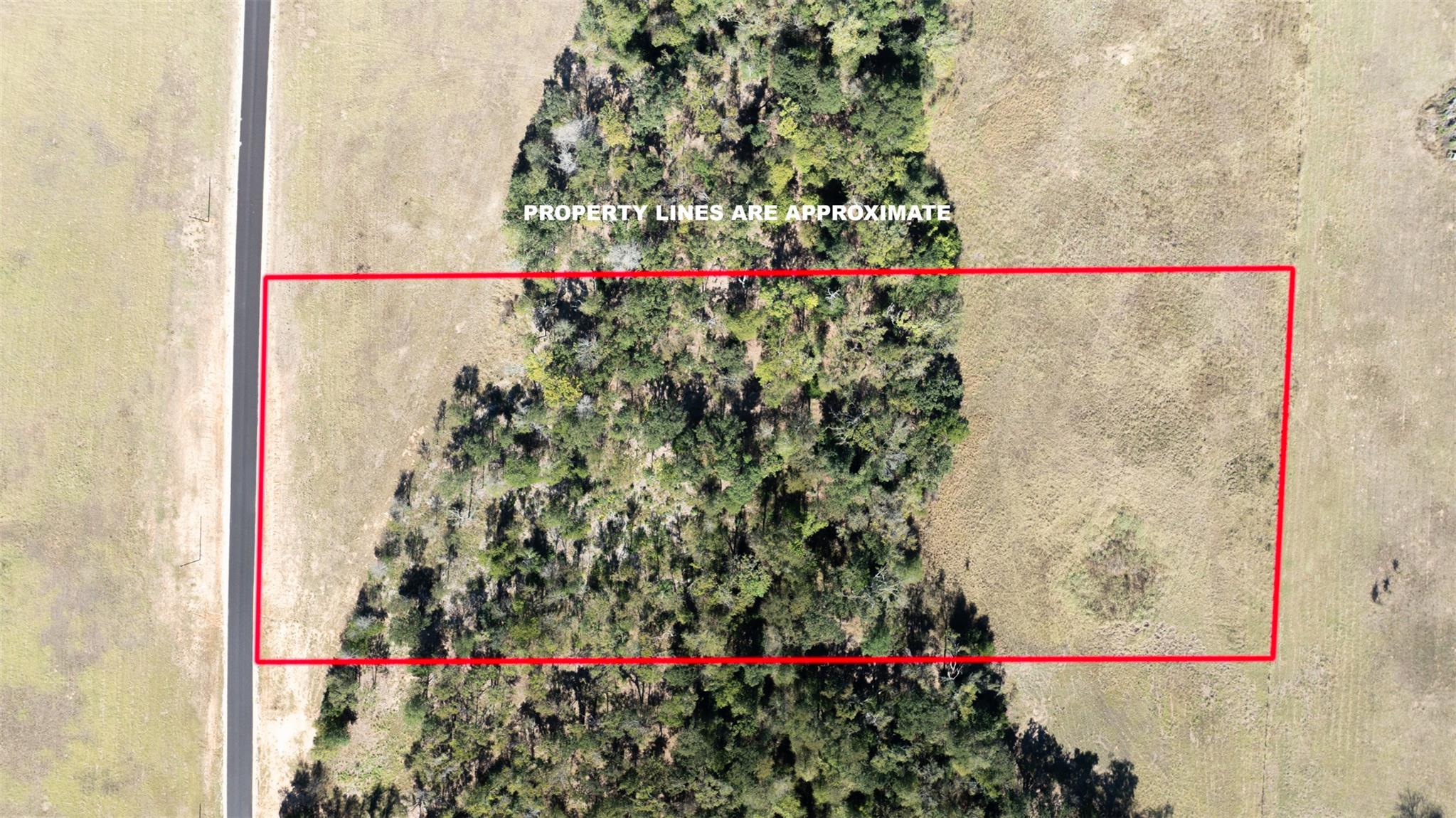 204 Little Branch Ln, Cameron, TX 76520