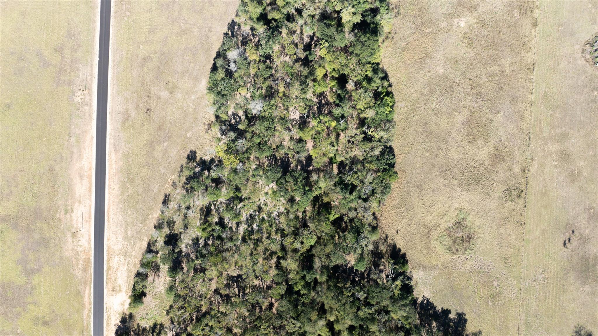 204 Little Branch Ln, Cameron, TX 76520