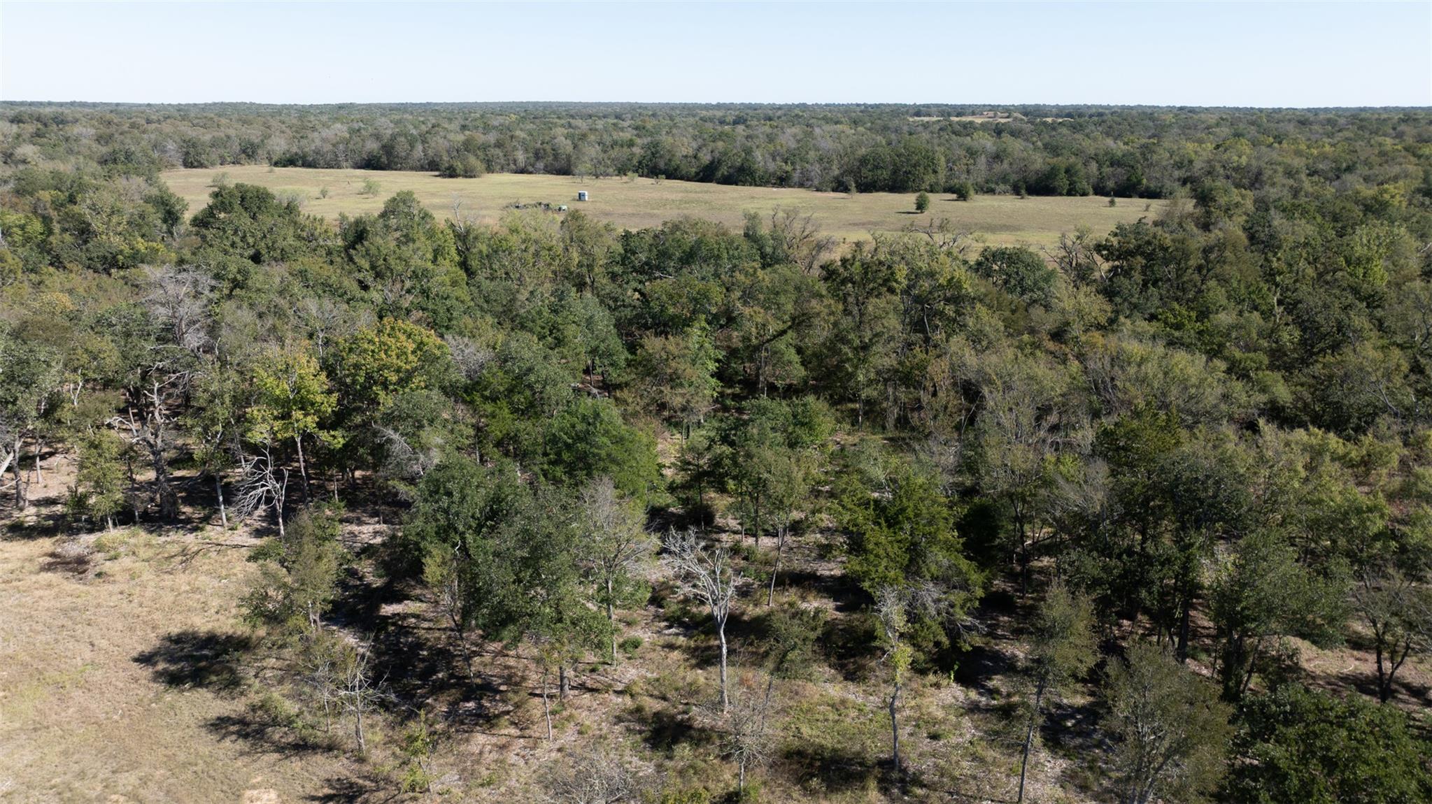 204 Little Branch Ln, Cameron, TX 76520