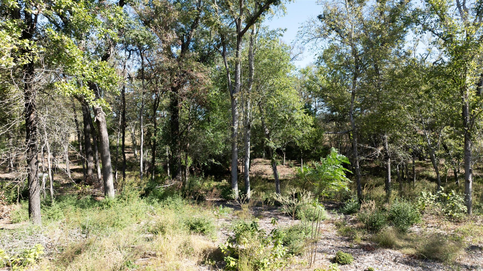 204 Little Branch Ln, Cameron, TX 76520