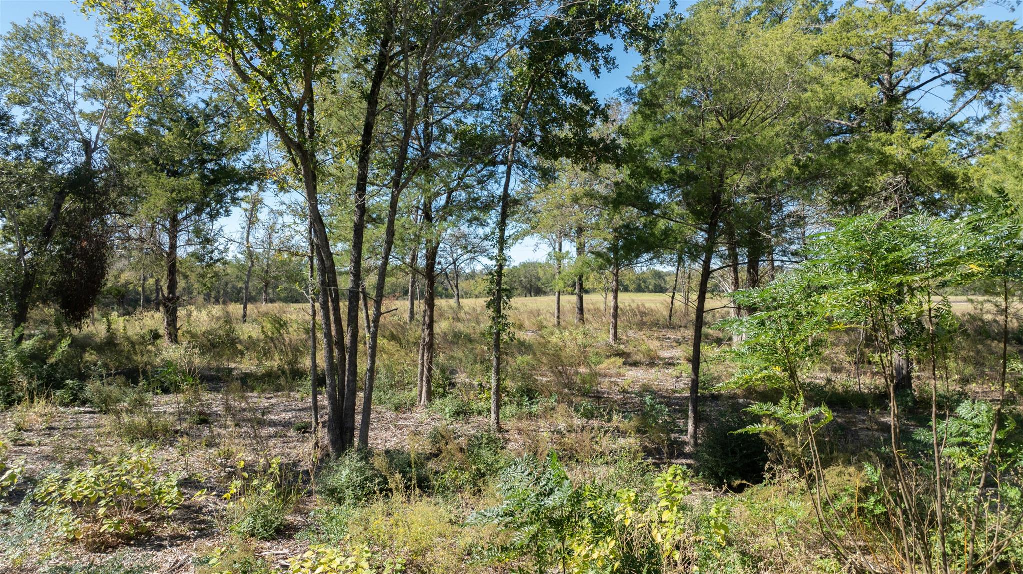 204 Little Branch Ln, Cameron, TX 76520