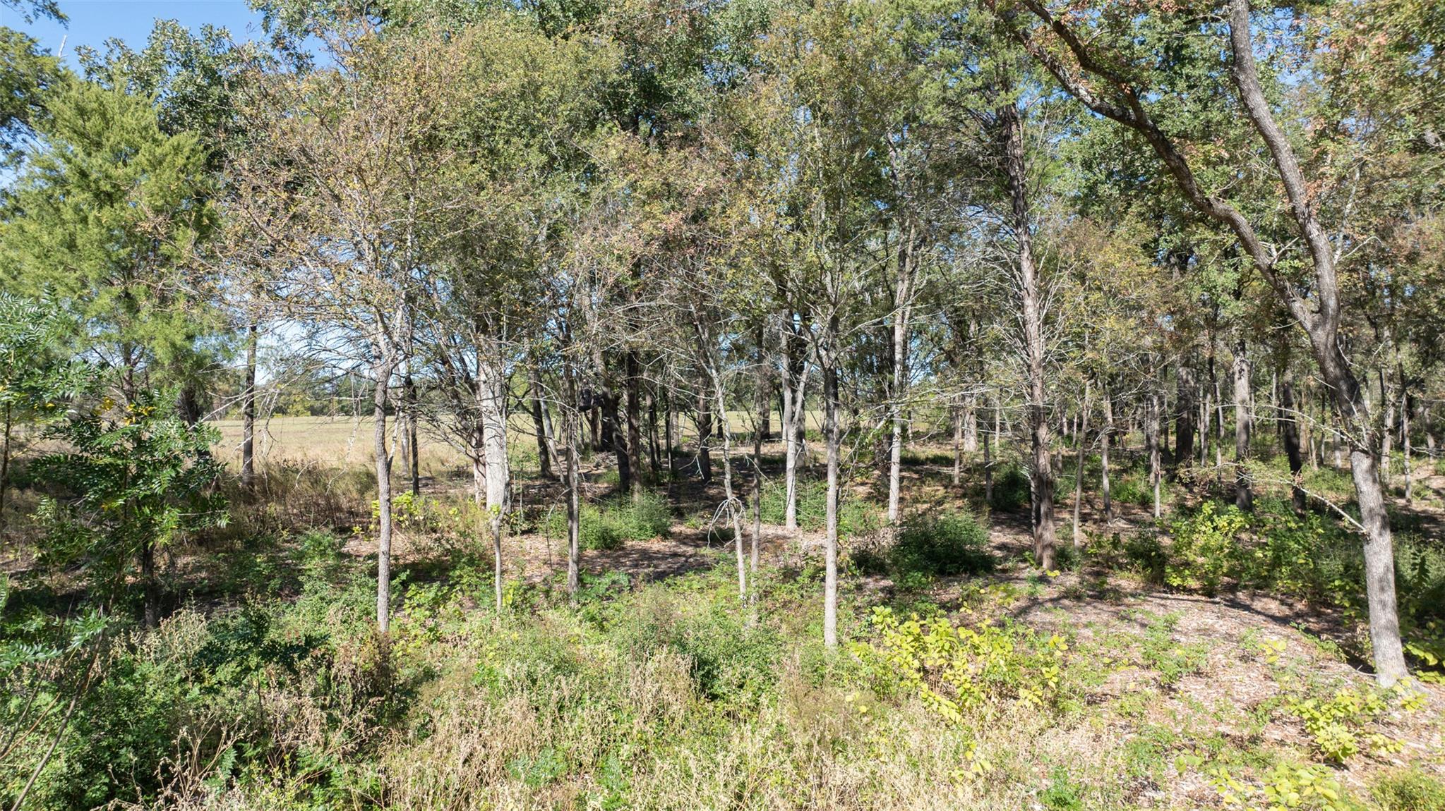 204 Little Branch Ln, Cameron, TX 76520