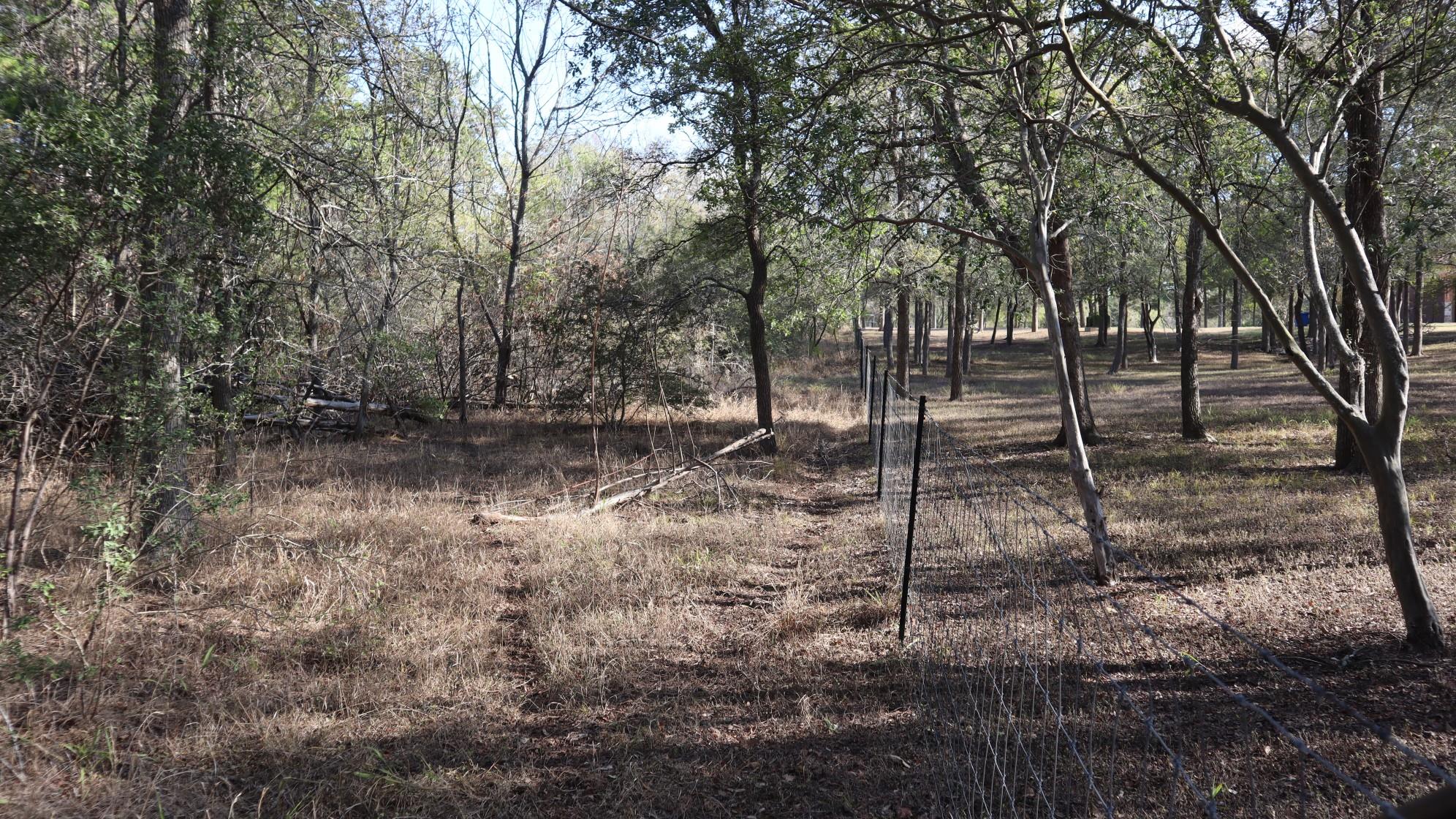 TBD Crested Butte Rd, Cedar Creek, TX 78612