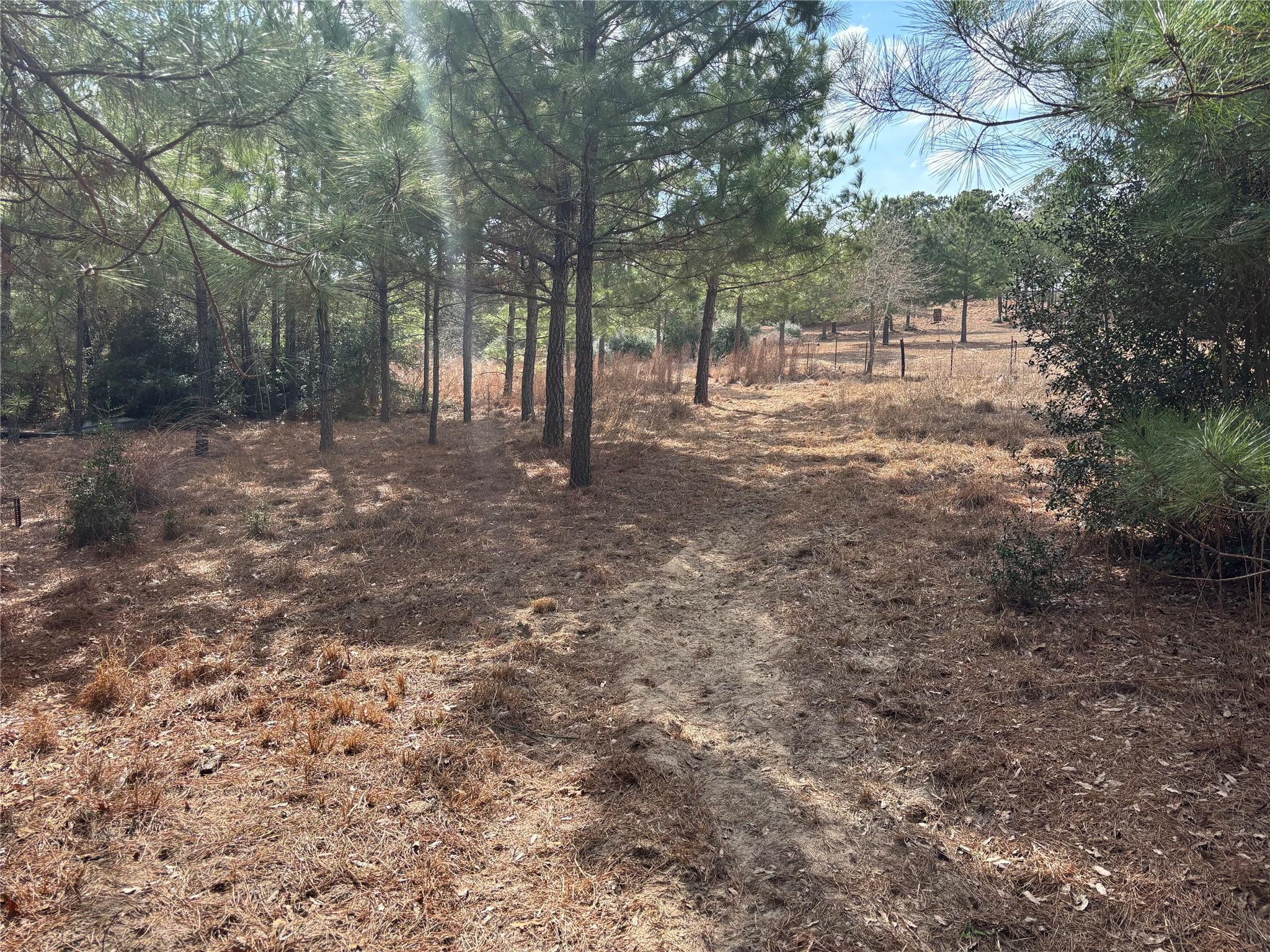 187 K C Dr, Bastrop, TX 78602