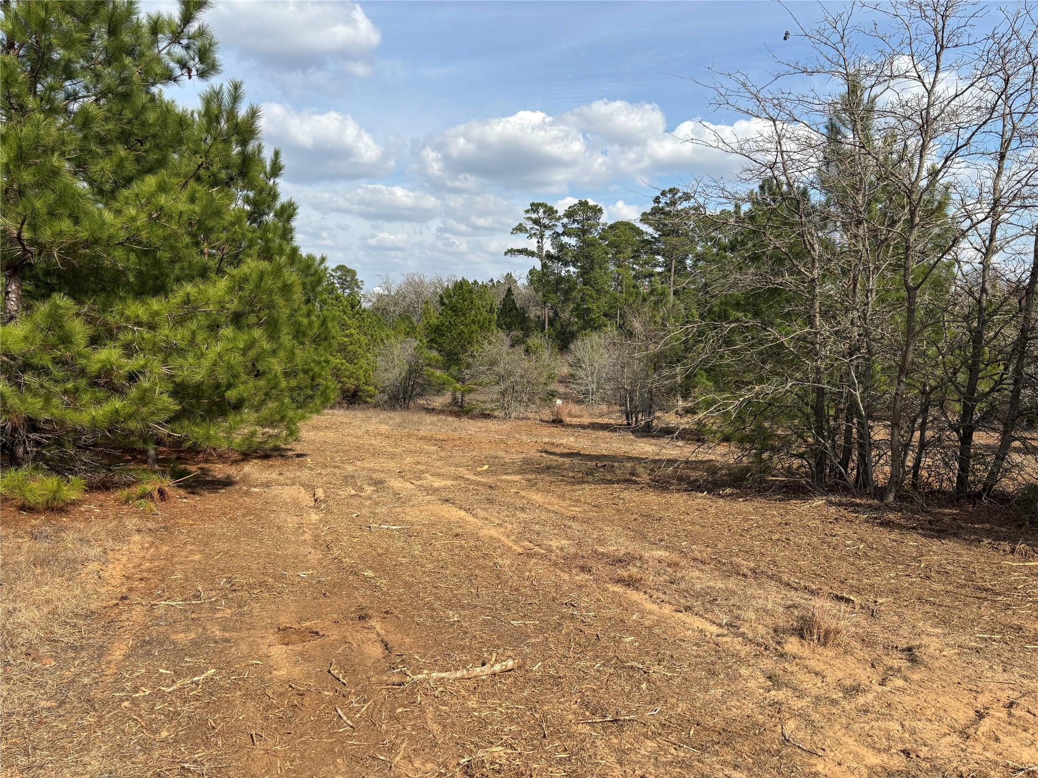 187 K C Dr, Bastrop, TX 78602