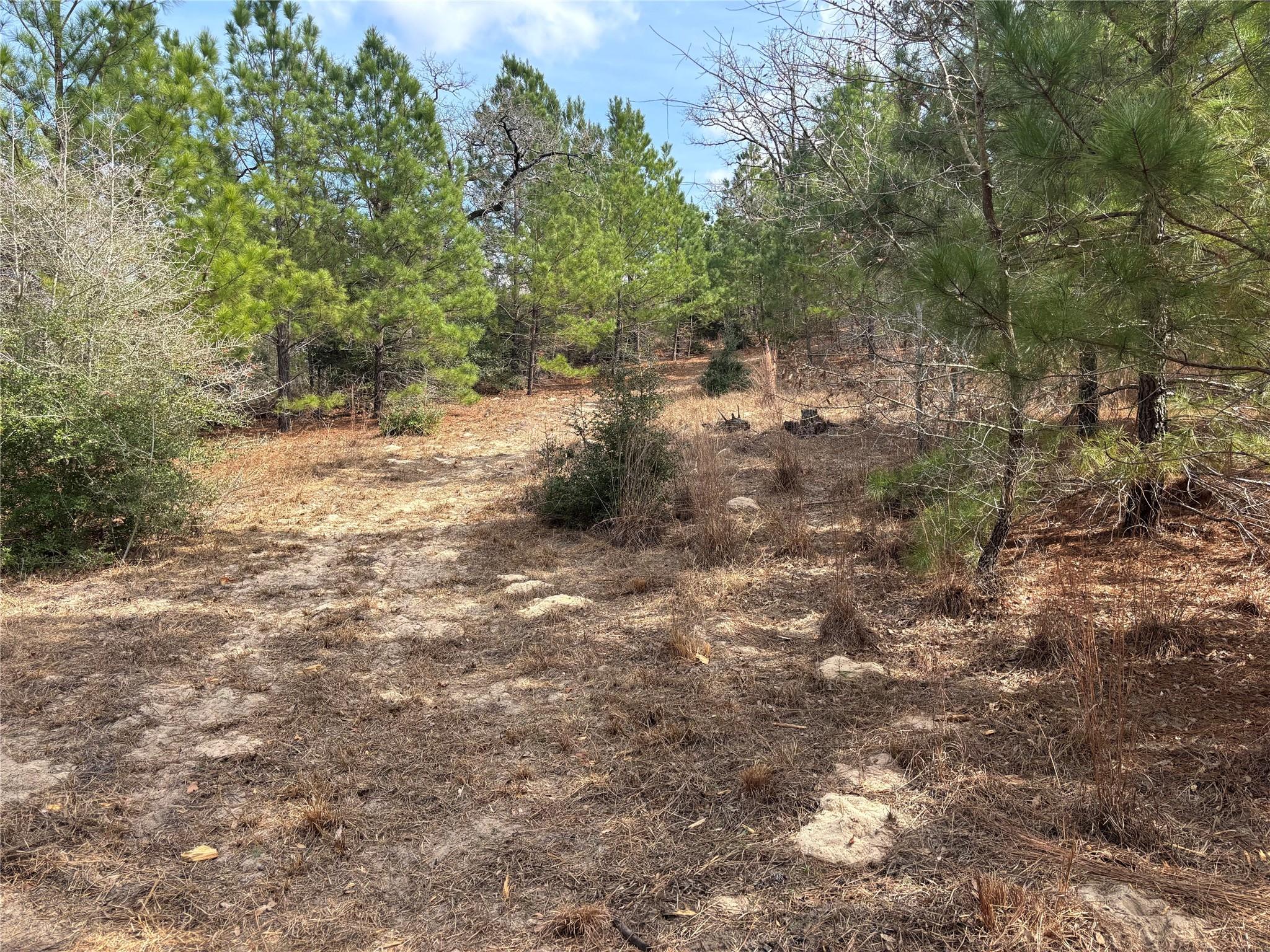 187 K C Dr, Bastrop, TX 78602