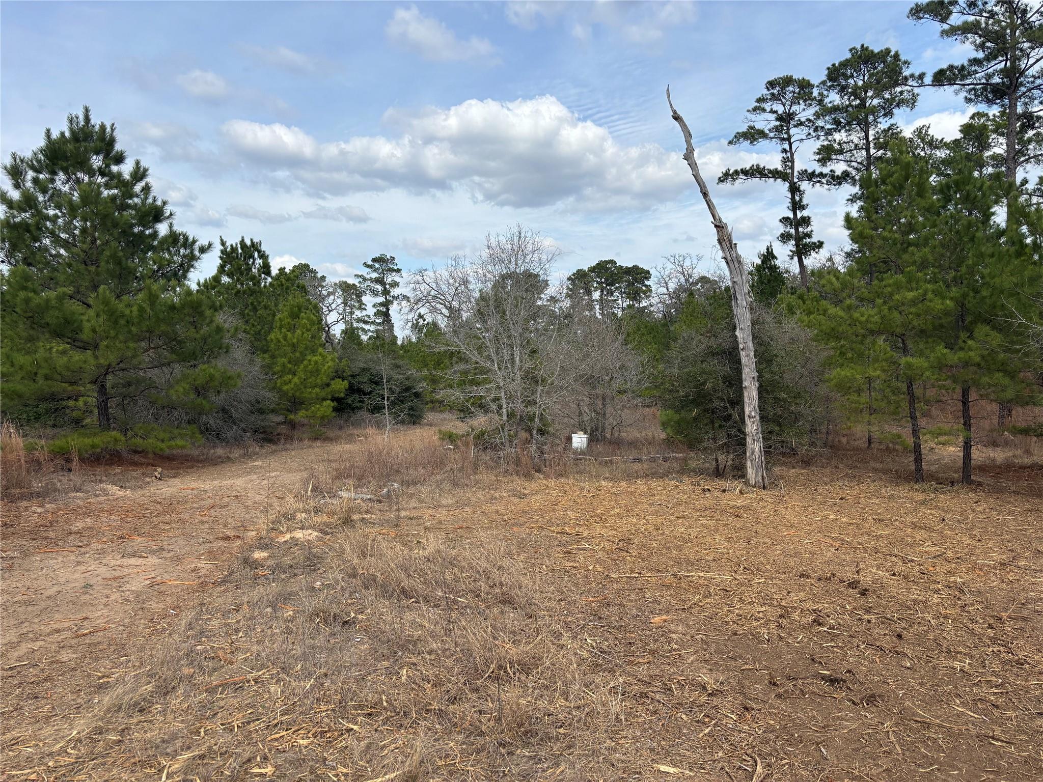 187 K C Dr, Bastrop, TX 78602