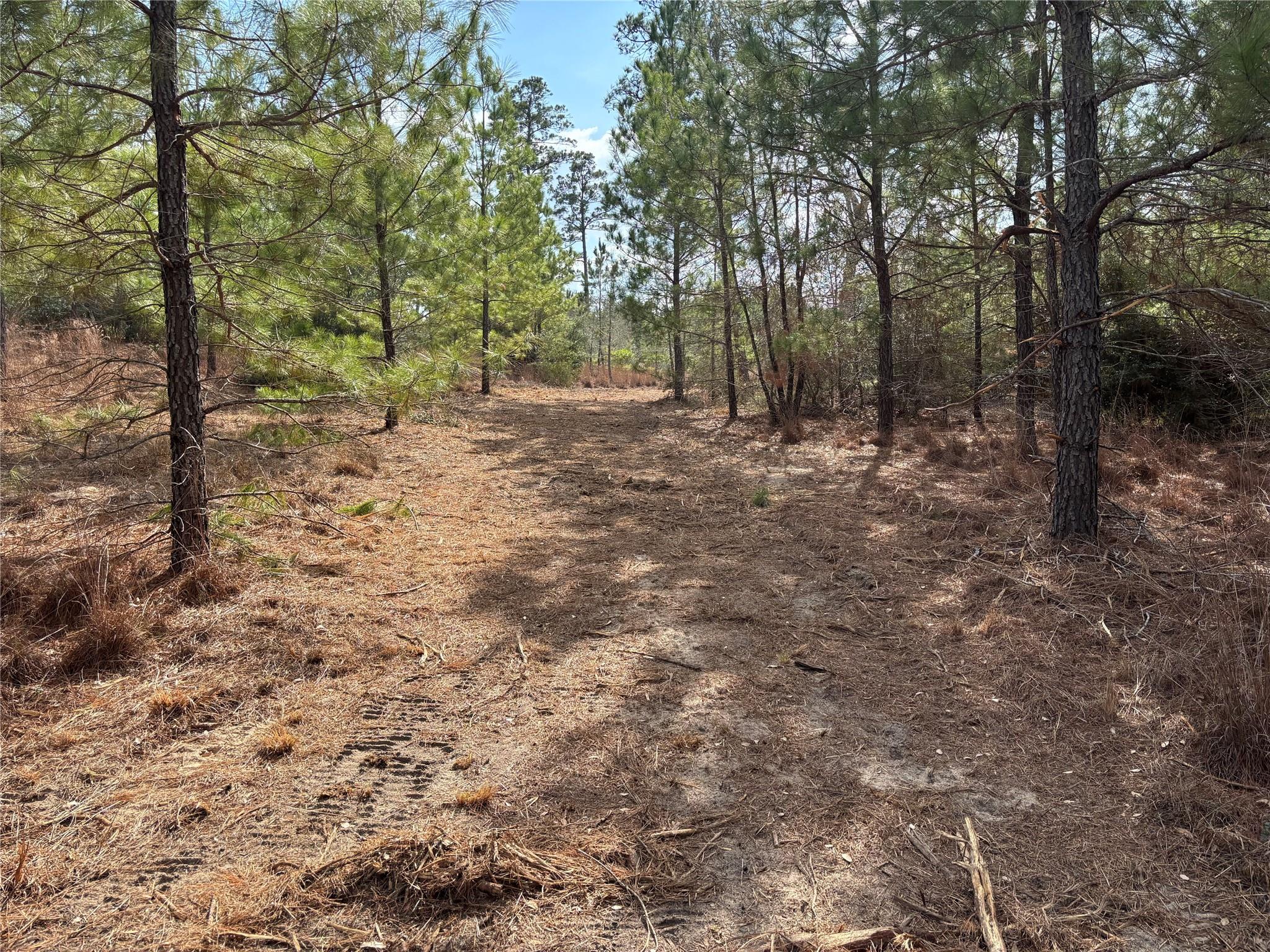 187 K C Dr, Bastrop, TX 78602