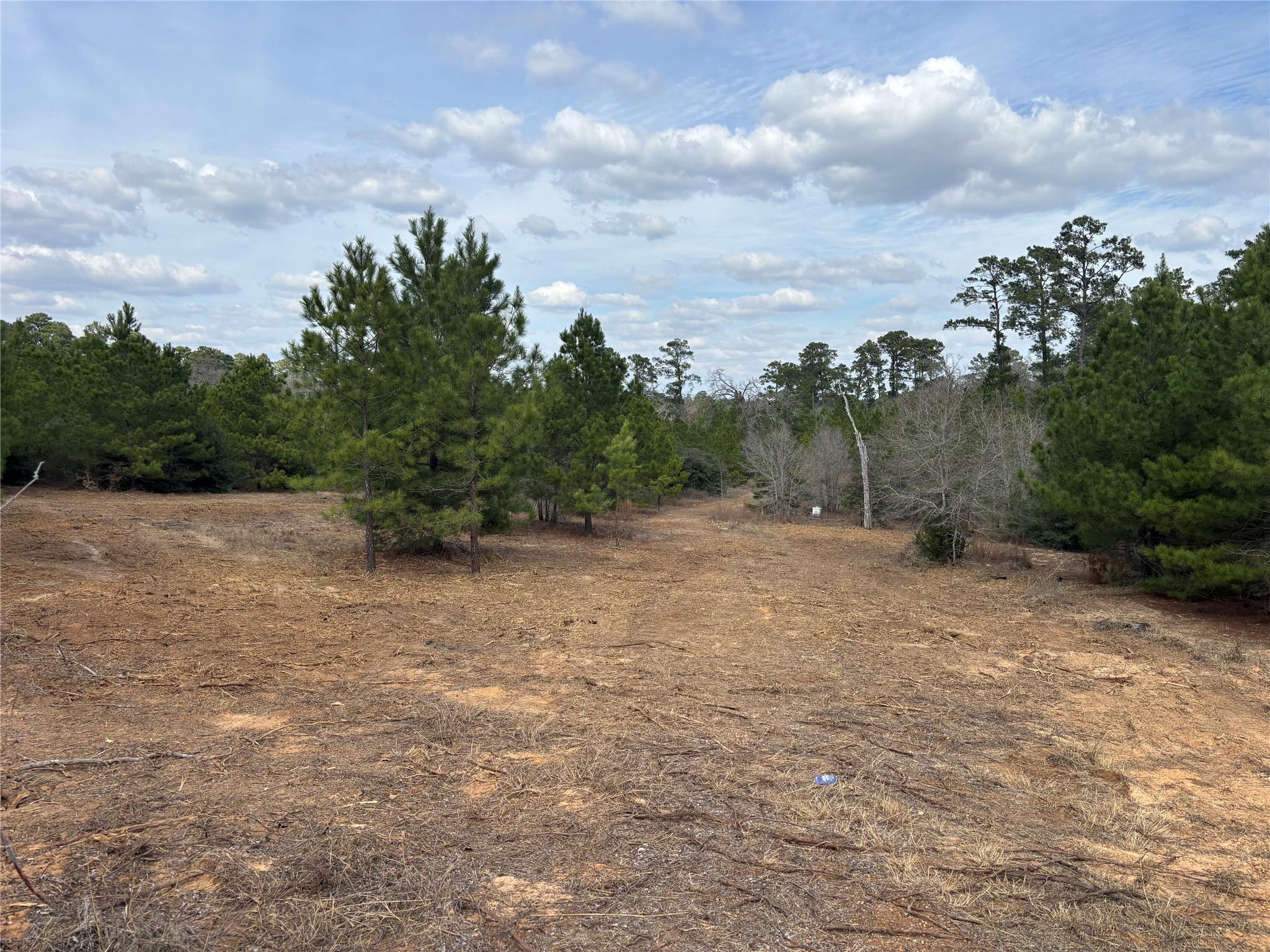 187 K C Dr, Bastrop, TX 78602