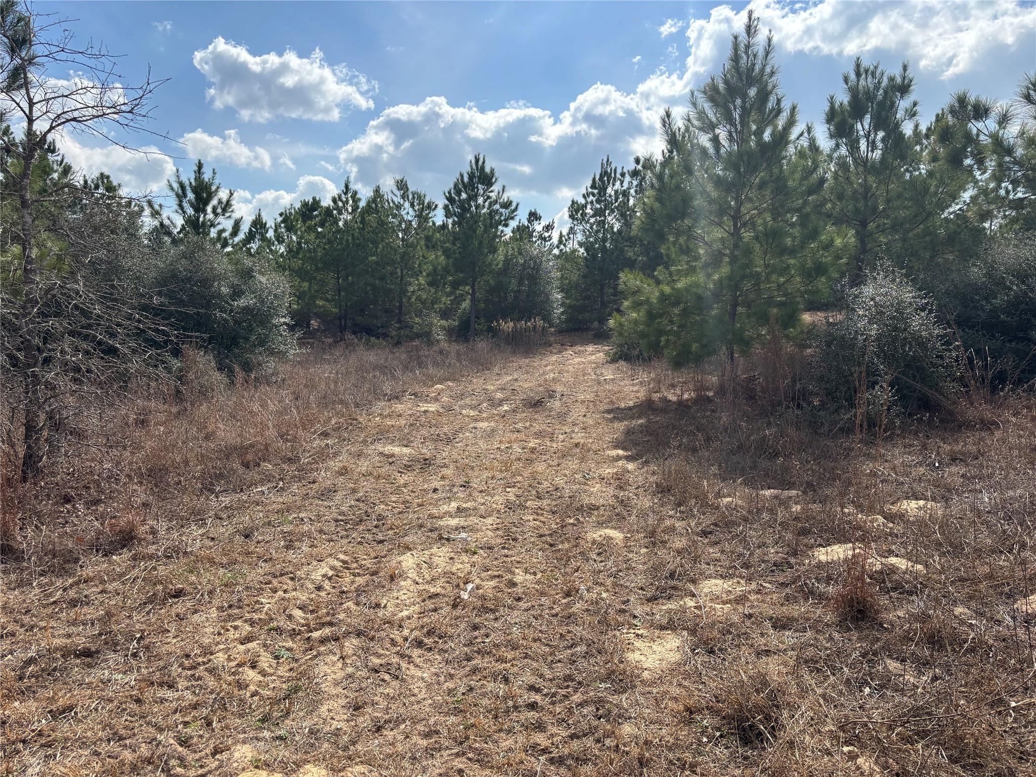 187 K C Dr, Bastrop, TX 78602