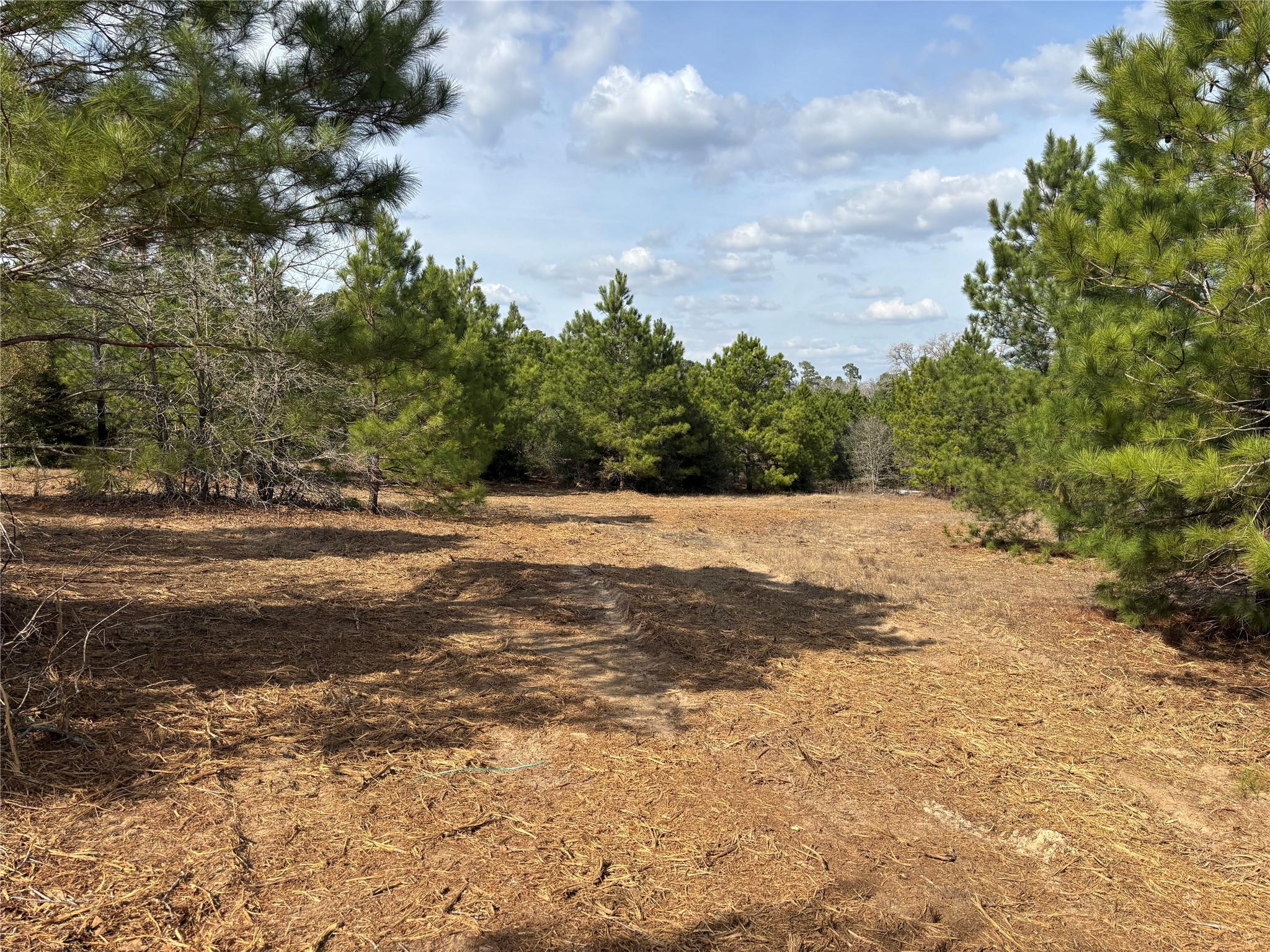 187 K C Dr, Bastrop, TX 78602