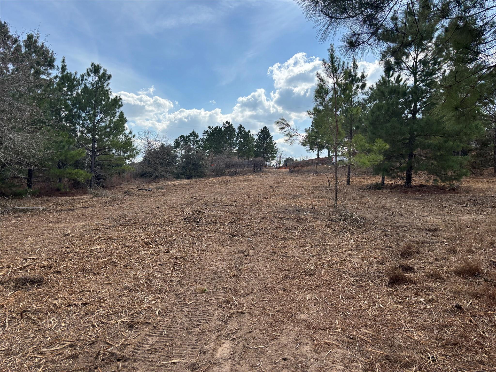 187 K C Dr, Bastrop, TX 78602