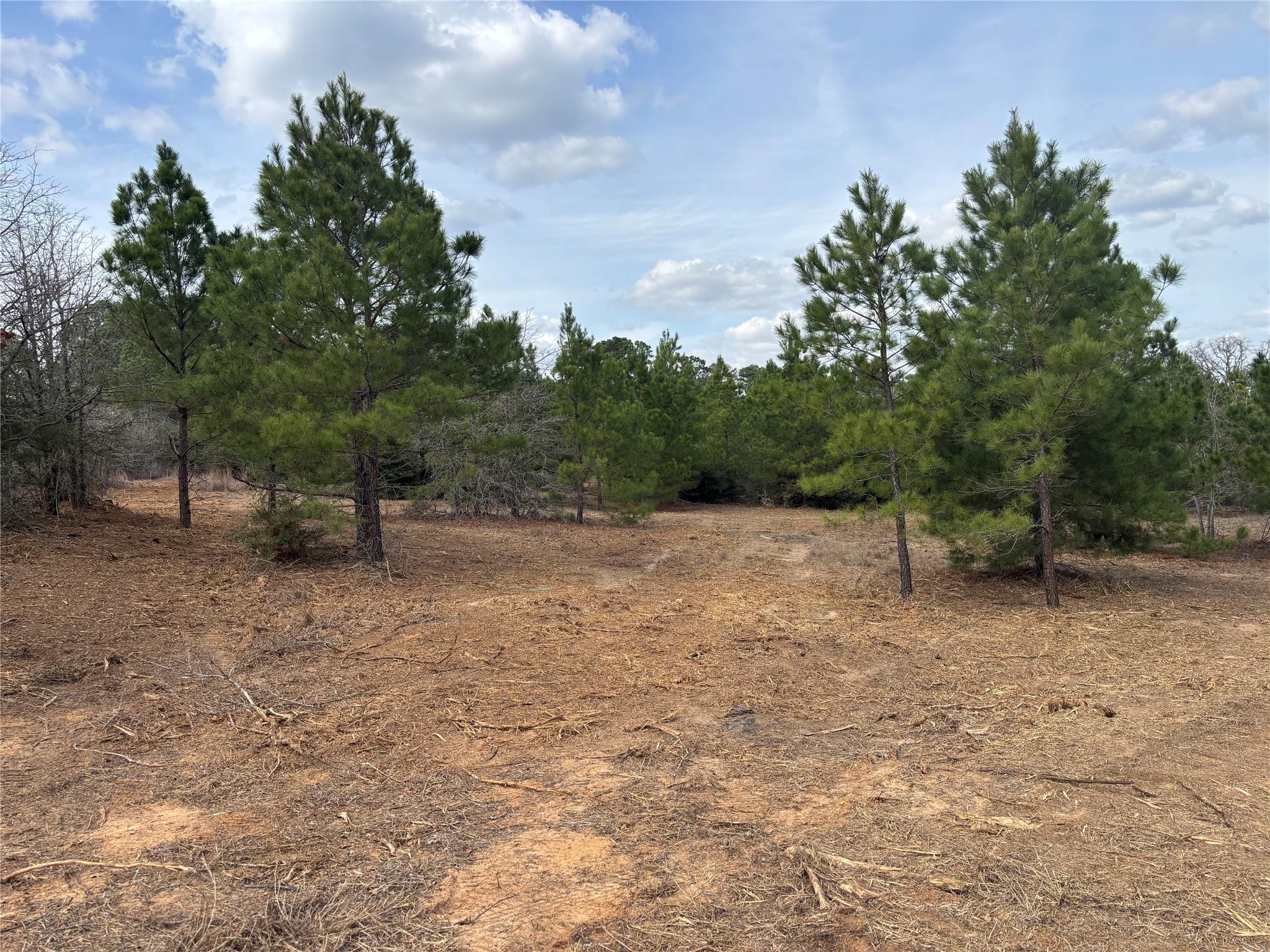 187 K C Dr, Bastrop, TX 78602