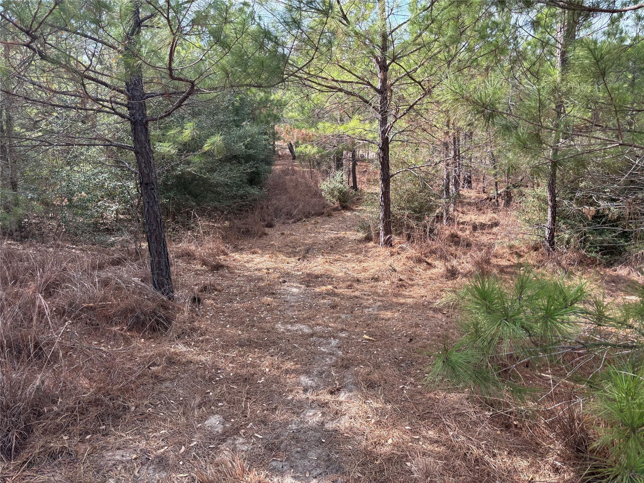 187 K C Dr, Bastrop, TX 78602