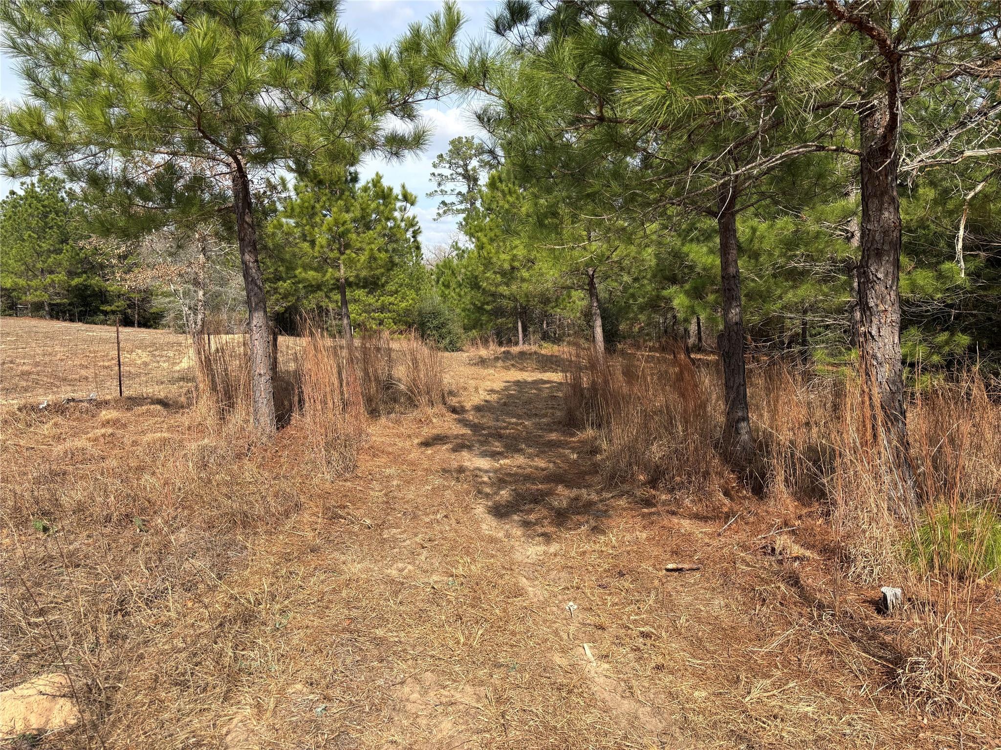 187 K C Dr, Bastrop, TX 78602