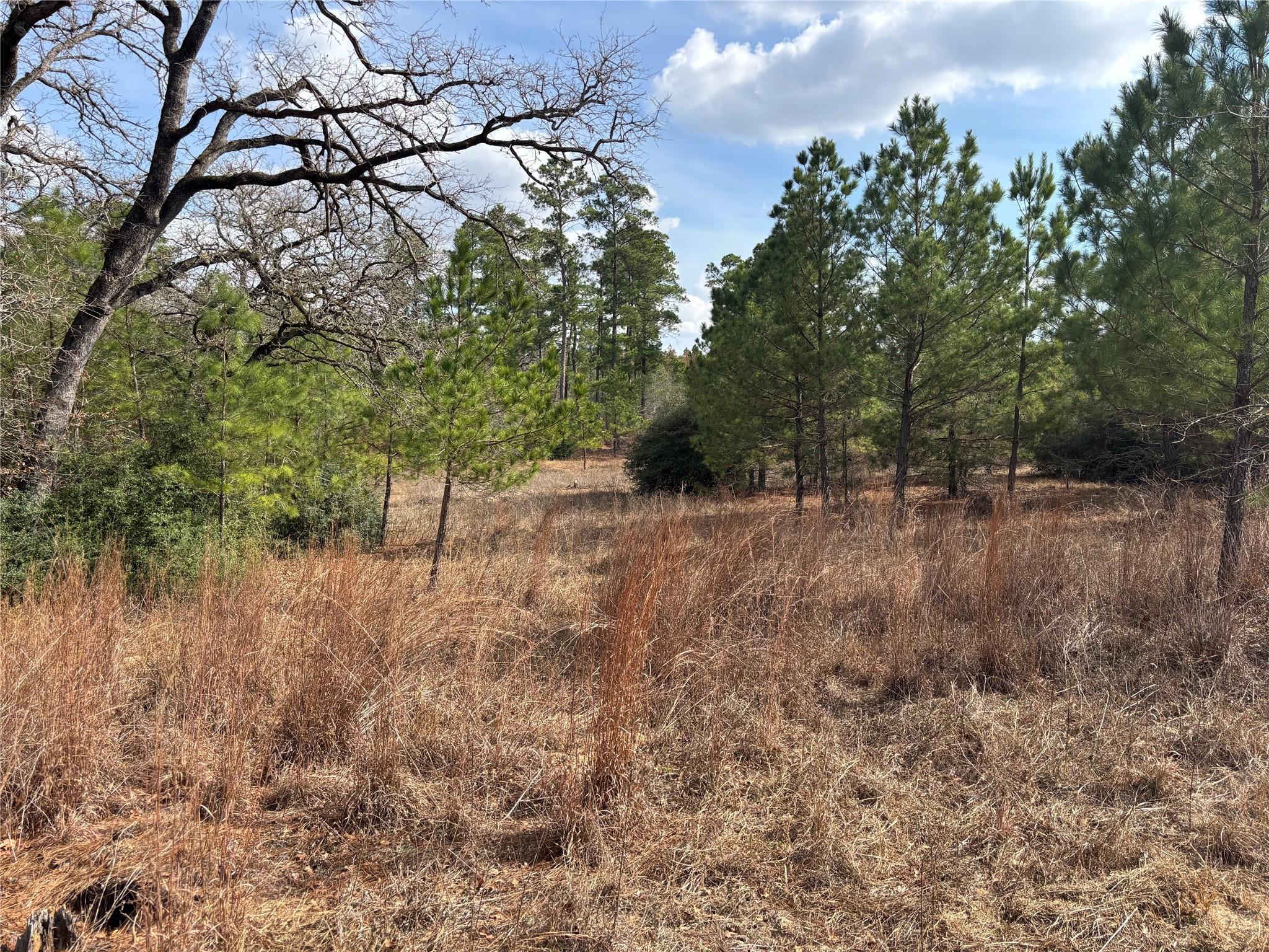 187 K C Dr, Bastrop, TX 78602